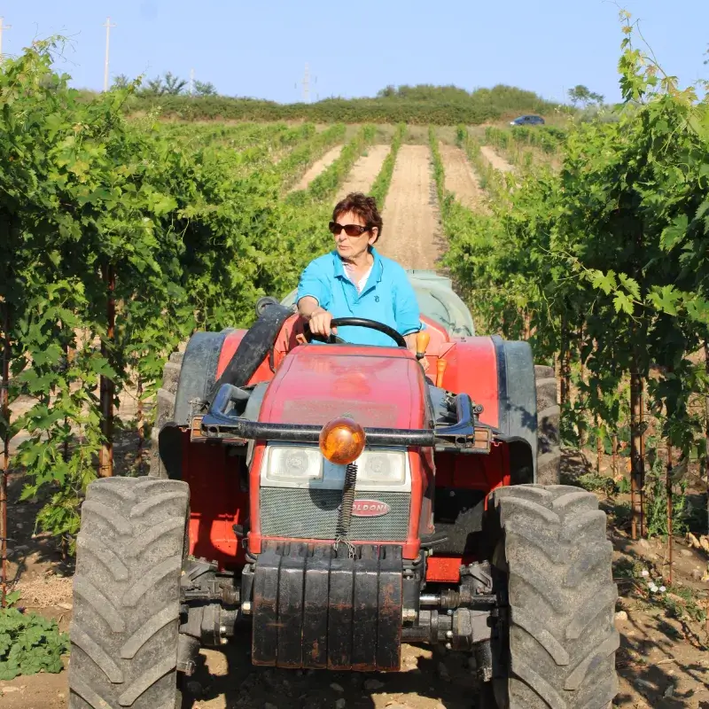 Nilo azienda agricola rinnovamento 2