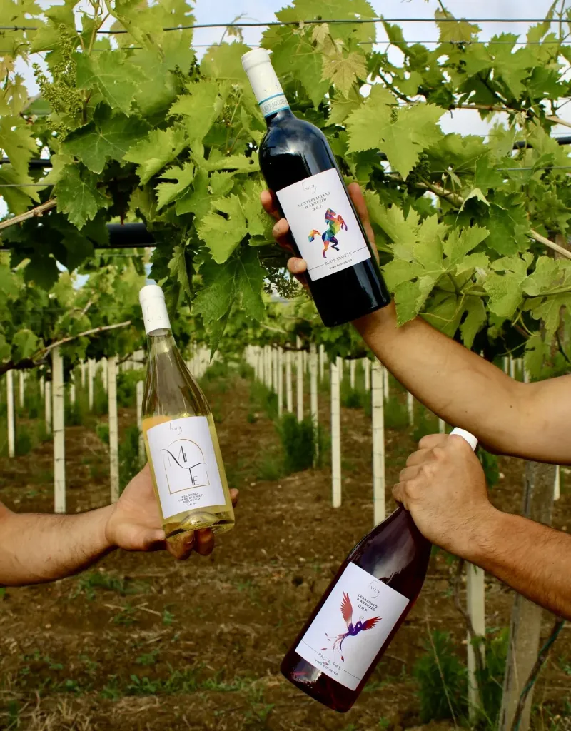 Vino biologico prodotto Nilo
